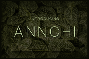 Annchi: A Clean Sans Serif Typeface for Modern Editorial Design