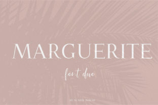 Elevate Web Design with the Marguerite Duo Typeface