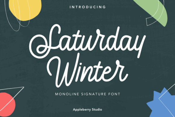 Elevate Your Brand Identity with the Saturday Winter Typeface