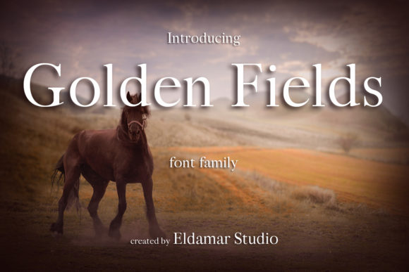 Golden Fields Font Review: A Minimal Serif for Campaigns