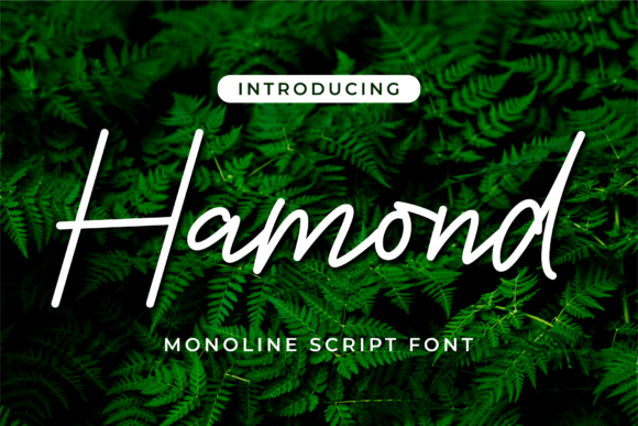 Hamond: A Bold Script for Modern Brand Identity