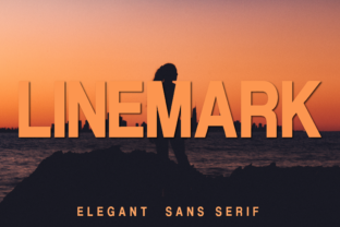 Linemark: A Modern Sans Serif for Web Design